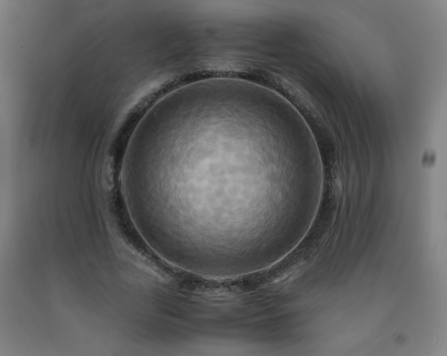 X0000093240731200709261708