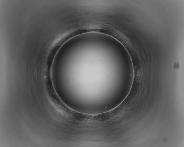 X0000093240732200709261708