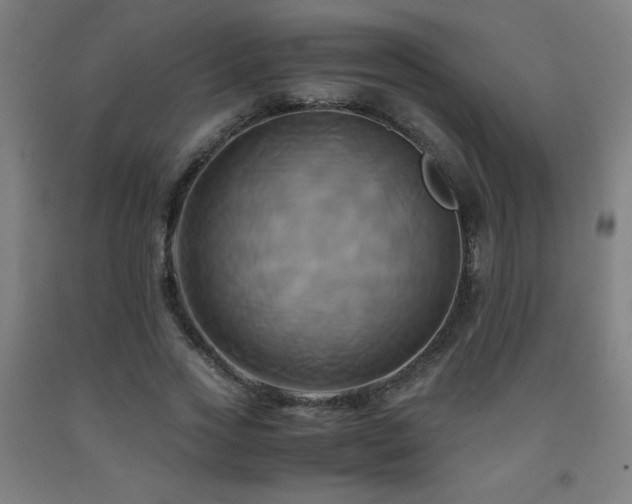 X0000093240733200709261708