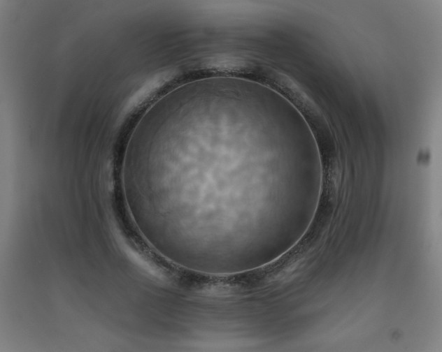X0000093240734200709261708
