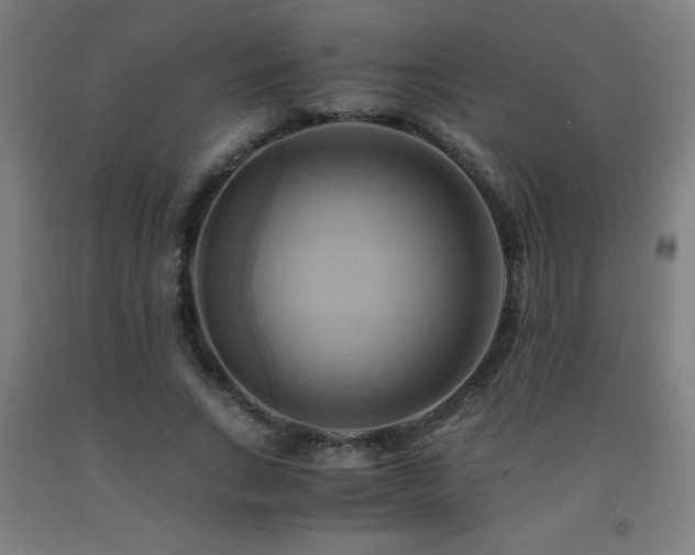 X0000093240735200709261708