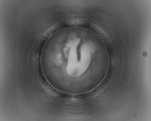 X0000093240737200709261708