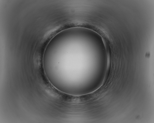 X0000093240740200709261708