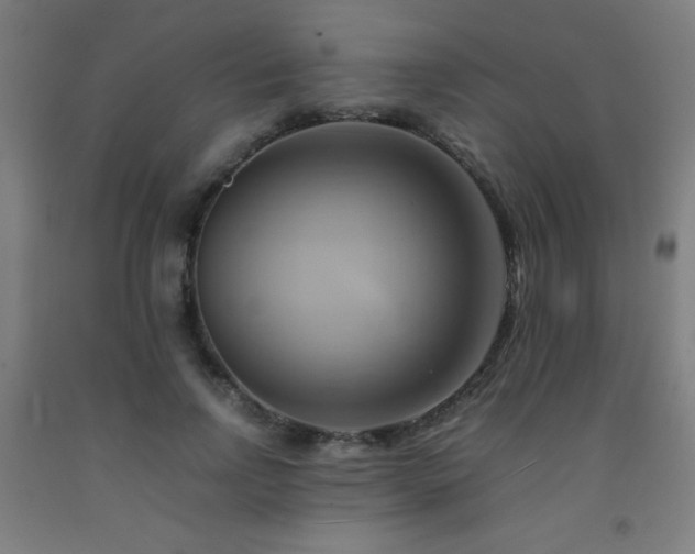 X0000093240742200709261708