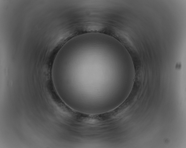 X0000093240743200709261708