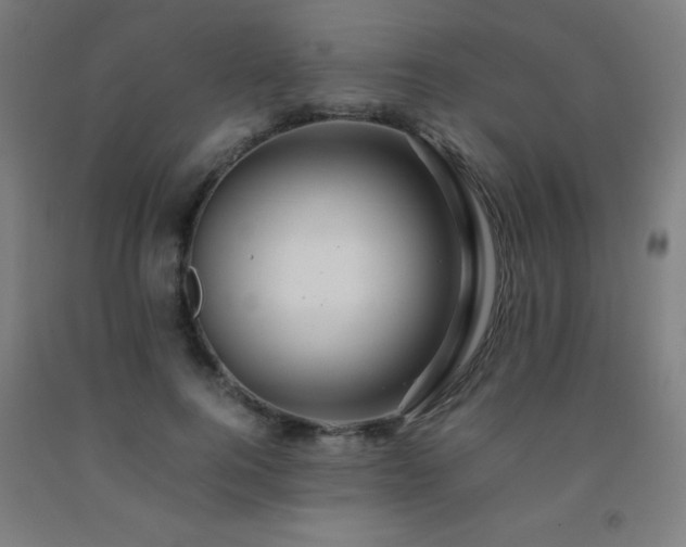 X0000093240744200709261708