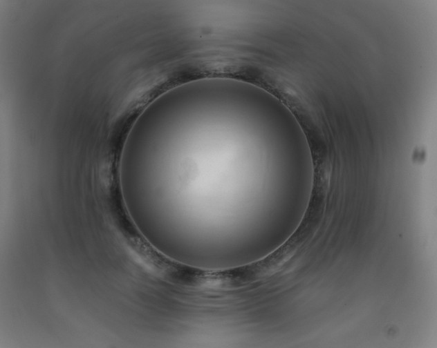 X0000093240746200709261708