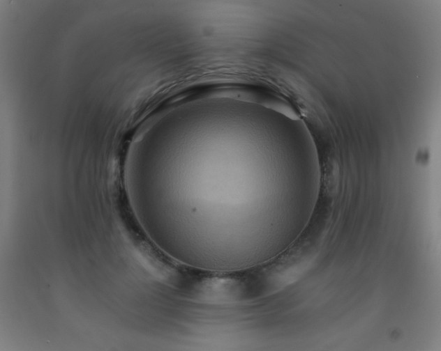 X0000093240748200709261708