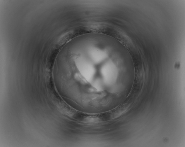 X0000093240749200709261708