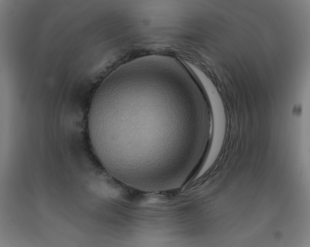 X0000093240750200709261708