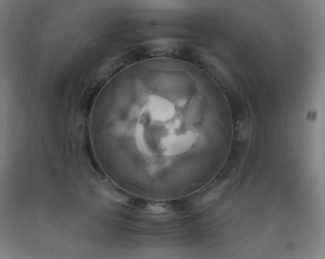 X0000093240753200709261708