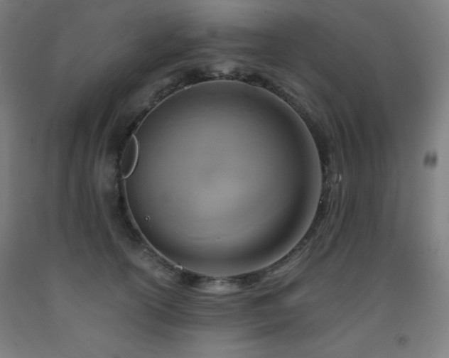 X0000093240754200709261708