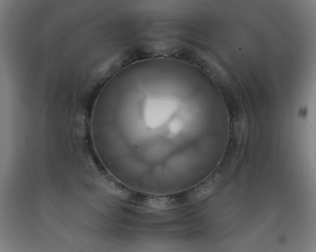 X0000093240757200709261708