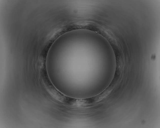 X0000093240758200709261708