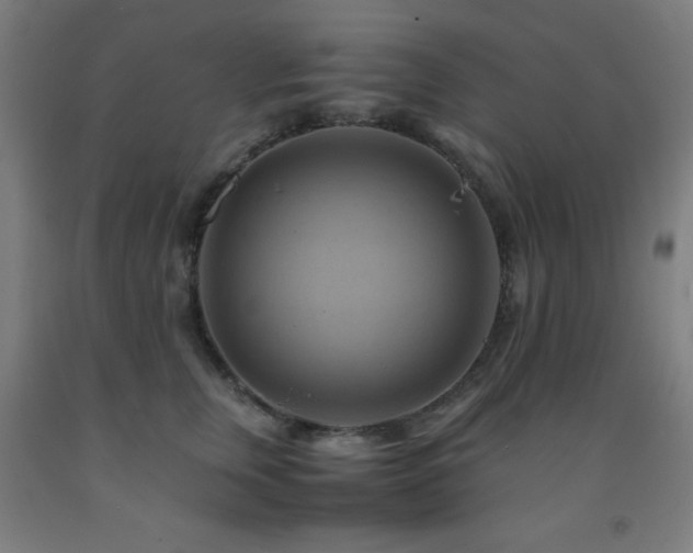 X0000093240759200709261708