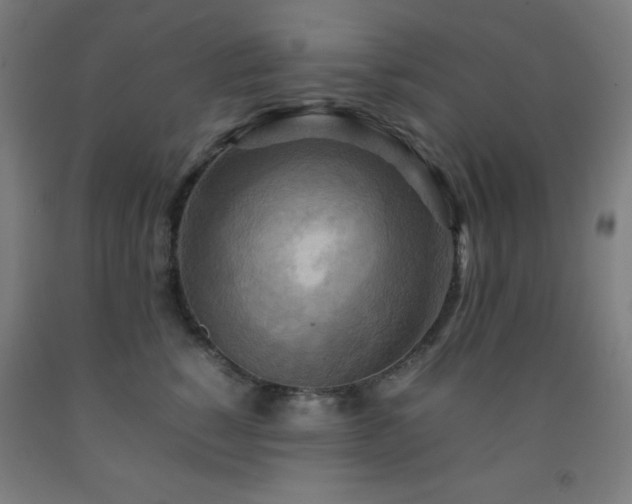 X0000093240760200709261708