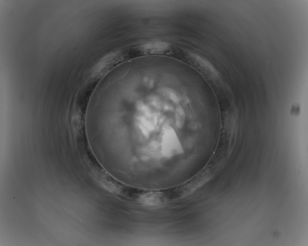 X0000093240761200709261708