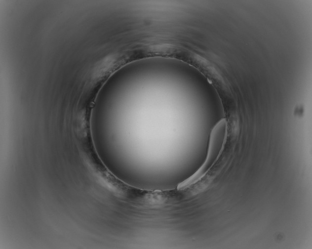 X0000093240764200709261709
