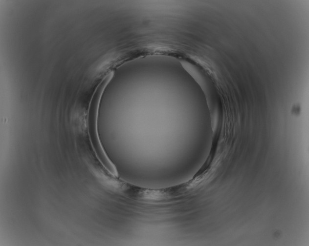 X0000093240766200709261709