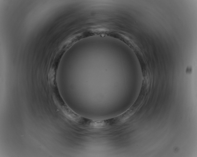 X0000093240767200709261709