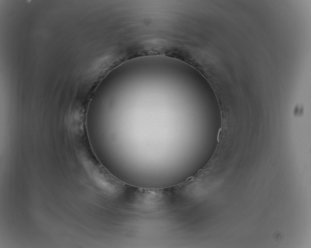 X0000093240768200709261709