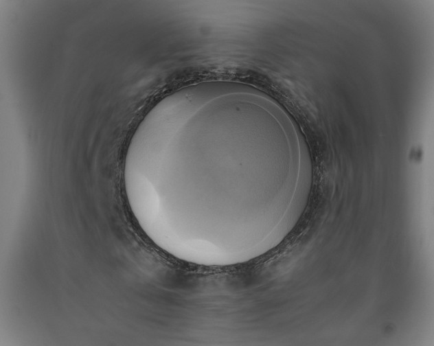 X0000093240769200709261708
