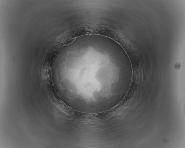 X0000093240770200709261708