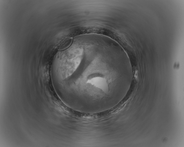X0000093240771200709261708