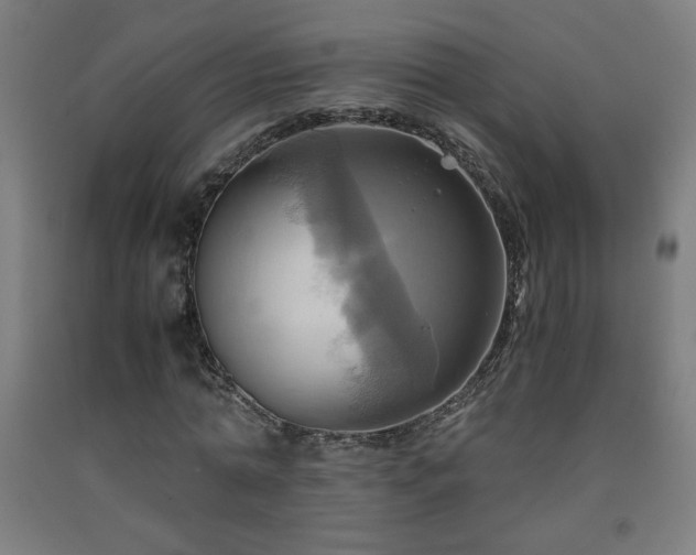 X0000093240774200709261708
