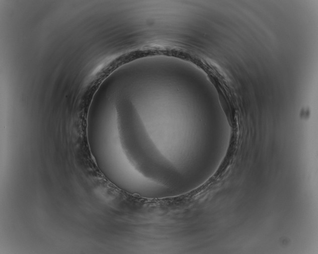 X0000093240776200709261708