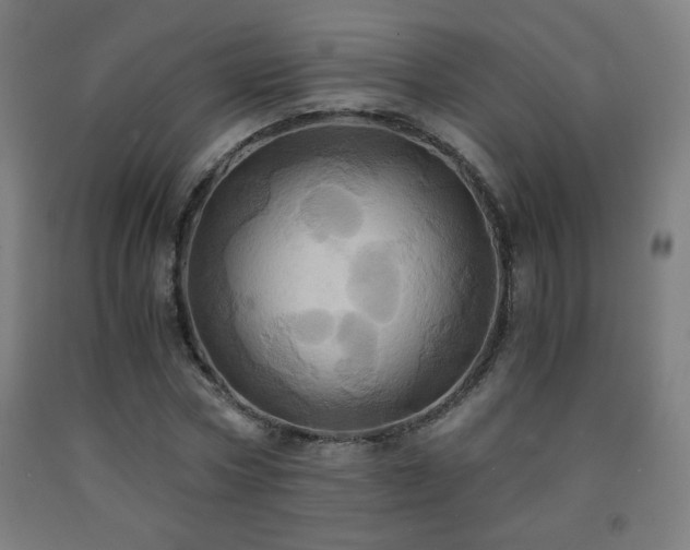 X0000093240778200709261708