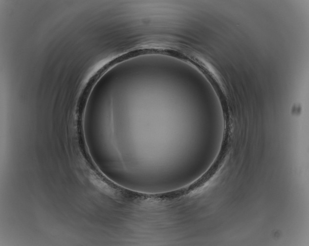 X0000093240779200709261708
