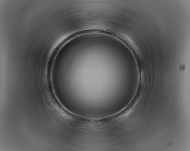 X0000093240780200709261708