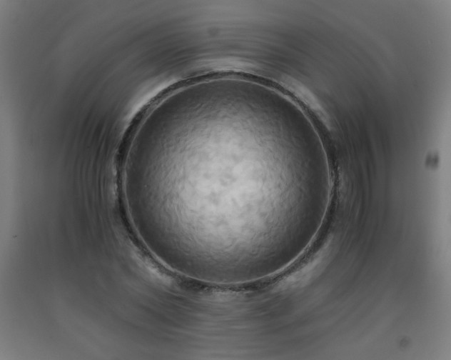 X0000093240782200709261708