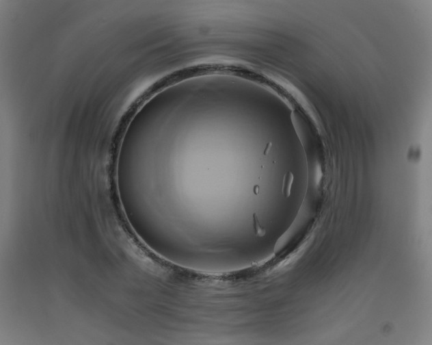 X0000093240783200709261708