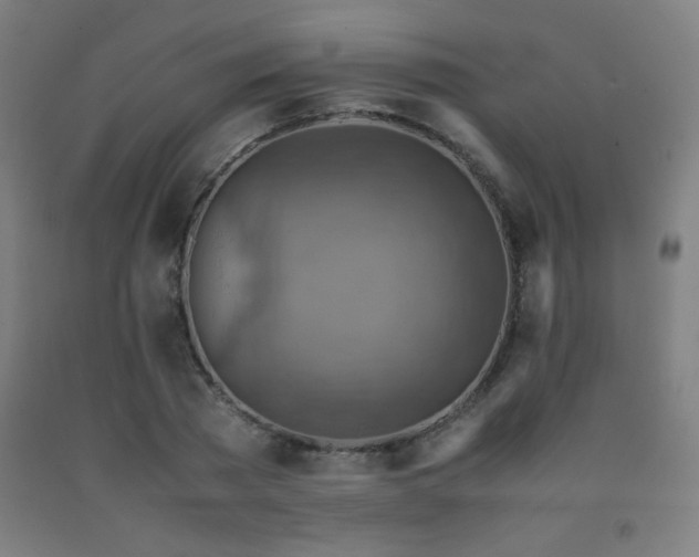 X0000093240785200709261708
