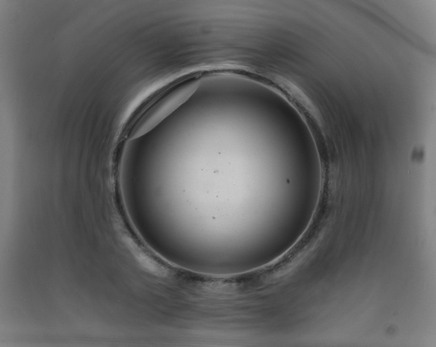 X0000093240789200709261708