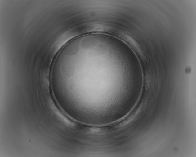 X0000093240794200709261707