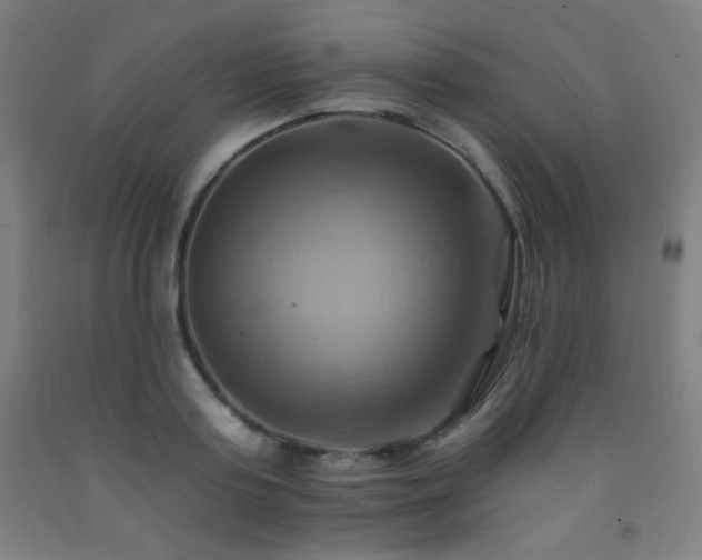 X0000093240795200709261707
