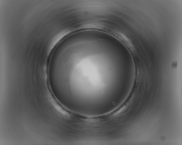 X0000093240796200709261707