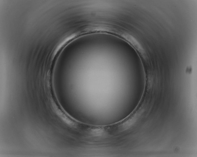 X0000093240798200709261707