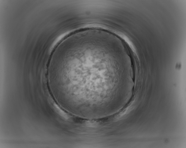 X0000093240799200709261707