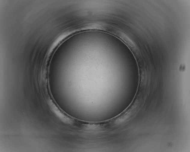 X0000093240800200709261707