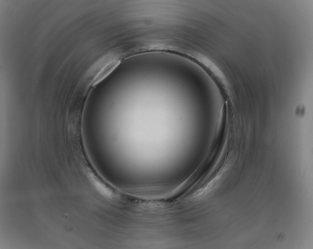 X0000093240801200709261707