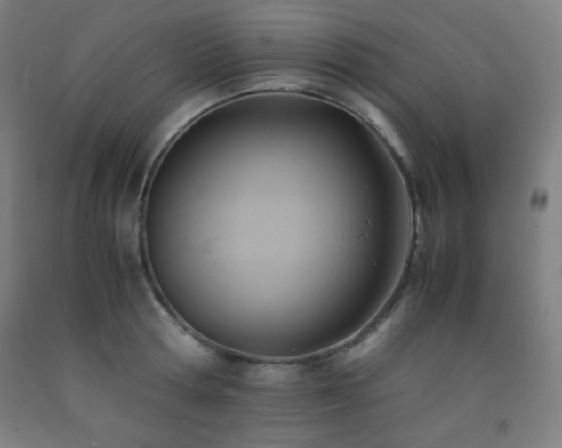 X0000093240802200709261707