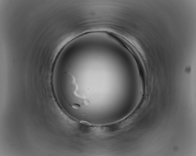 X0000093240805200709261707