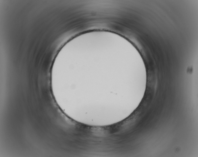 X0000093240807200709261707