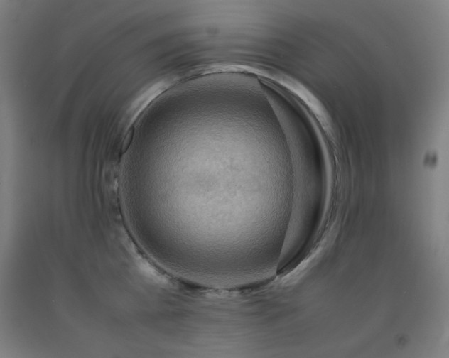 X0000093240809200709261707
