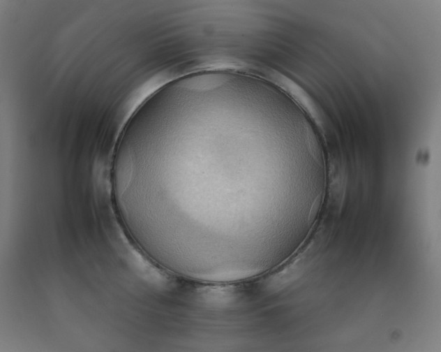 X0000093240810200709261707