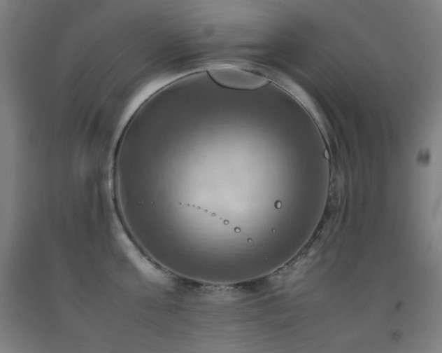 X0000093240811200709261707
